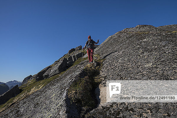 Wanderin steigt den felsigen Grat zum Nonstind-Gipfel hinunter  Moskenes??y  Lofoten  Norwegen
