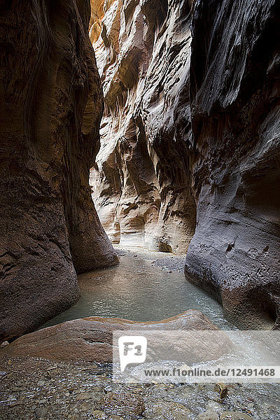 Die Narrows im Zion National Park sind nach wie vor eine der beliebtesten Wanderungen in Amerika.