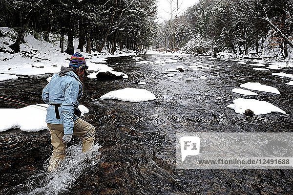 A young woman fly fishing on a snowy  cold  winter day. She is wading in a creek to find a good spot.