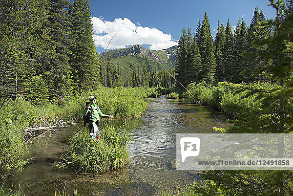 Fly Fisherman On A Small Stream In The Great Bear Wilderness  Montana