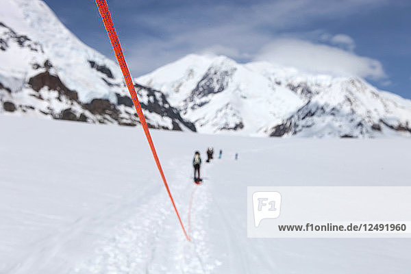 A team of mountaineers are roped up while crossing the lower Kahiltna glacier on their way to 12.000 feet camp Mount McKinley in Alaska. The rope will prevent a climber from falling deep into a crevasse when a snow bridge suddenly collapses. The other team members can then use the rope to rescue the victim. On the sleds the alpinists carry part of their gear  tents and food. Mount McKinley or Denali is the highest mountain peak in North America  with a summit elevation of 20 237 feet (6 168 m) above sea level. At some 18 000 feet (5 500 m)  the base-to-peak rise is considered the largest of any mountain situated entirely above sea level. Measured by topographic prominence  it is the third most prominent peak after Mount Everest and Aconcagua. Located in the Alaska Range in the interior of the U.S. state of Alaska  McKinley is the centerpiece of Denali National Park and Preserve.