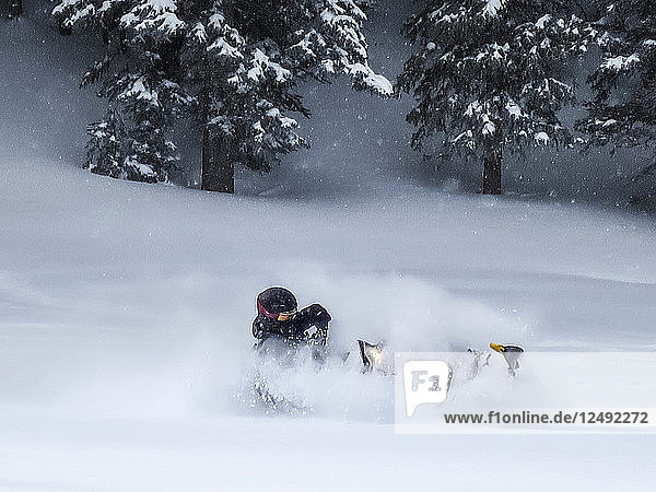 Man Riding Snowmobiles On Guardsman Pass In Utah