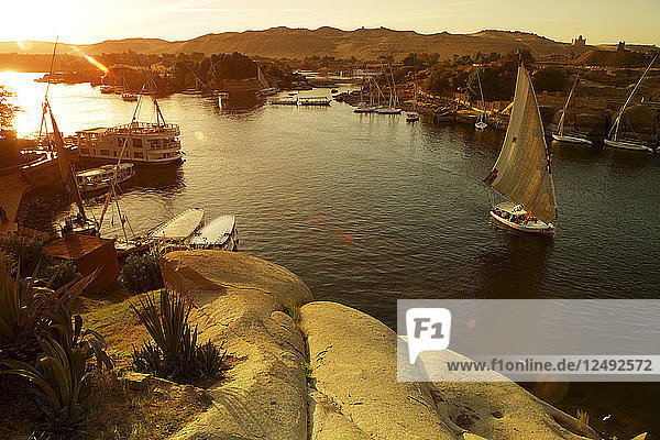 Felucca Sailboat On River Nile  Aswan  Egypt