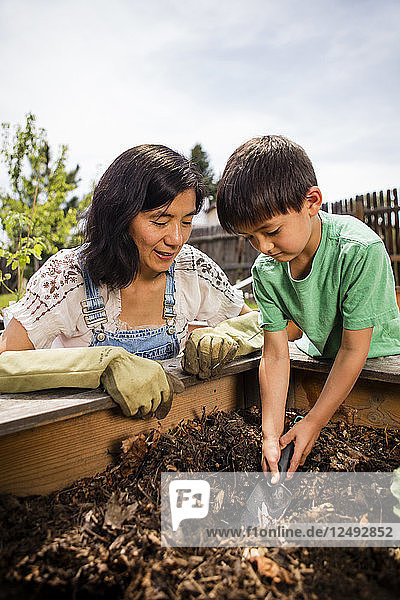 Eine japanisch-amerikanische Mutter und ihr 4-jähriger Sohn bepflanzen einen Garten in einem Pflanzkasten.