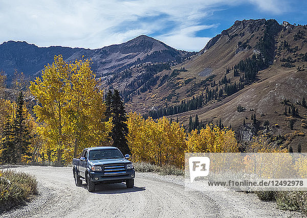 A young man drives his pickup truck up a dirt road on a fall day in Little Cottonwood Canyon Utah.