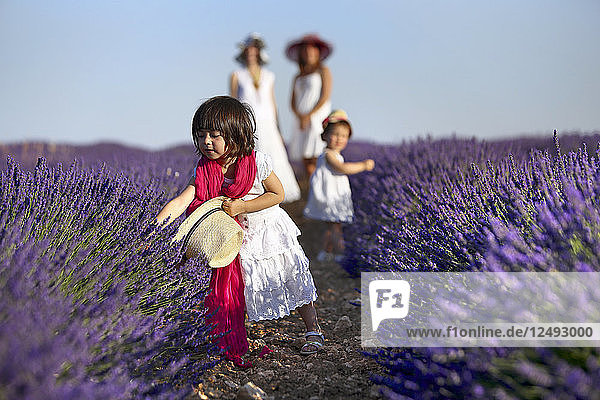 Kleines Mädchen spielt mit lila Blumen  die im Feld wachsen