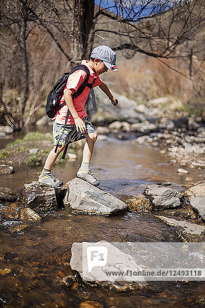 A 6 year old Japanese American boy crosses a stream while hiking along the Hewlett Gulch Trail  Colorado.