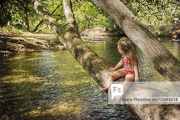 Before swimming  toddler girl rests on tree that branches over creek in Bidwell Park  Chico  California.