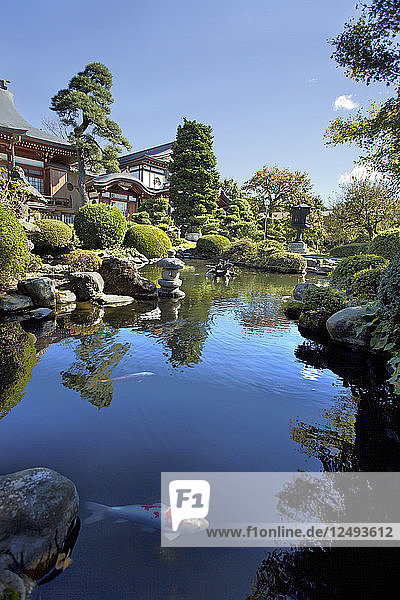 Sommertag mit Blick auf einen Koi-Teich in Japan