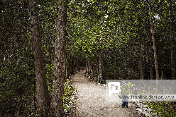 A 4 year old Japanese American boy walks along a wooded trail and takes a picture with his toy camera  while exploring the Bruce Peninsula National Park  Ontario  Canada.