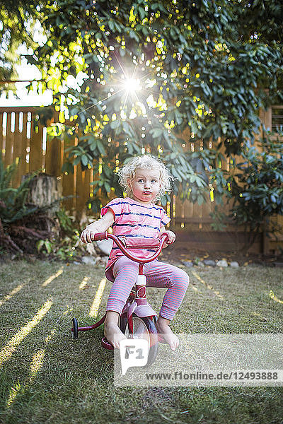 A blond toddler girl in pink sits on a tricycle in a backyard with sunlight streaming through the trees.