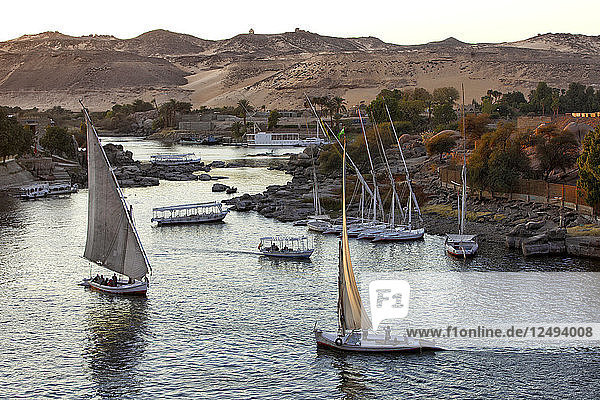 Felucca Sailboats On River Nile  Aswan  Egypt