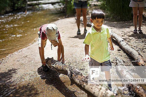 A four year old Japanese American boy walks through a stream. A 7 year old Japanese American boy lifts a log  while the mother and grandmother oversee the activity. Endovalley Picnic Area Campground  Rocky Mountain National Park.