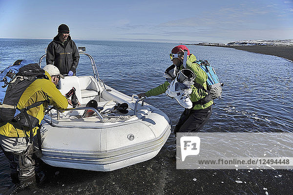 Skifahrer laden Ski in Boot auf Augustine Island im Cook Inlet  Alaska