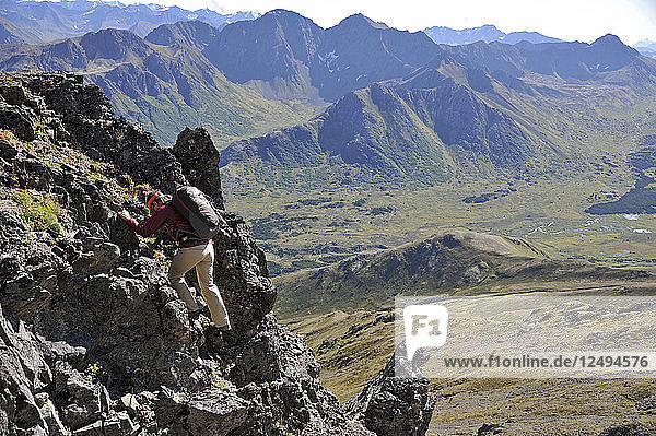 Eine Wanderin beginnt ihren Aufstieg auf den Nordostgrat des Mount Williwaw (5445 Fuß)  dem höchsten Gipfel der vorderen Chugach Mountains in Anchorage  Alaska  im August 2011. Mount Williwaw ist eine Route der Klasse 3 am Ende des Middle Fork Campbell Creek-Tals.