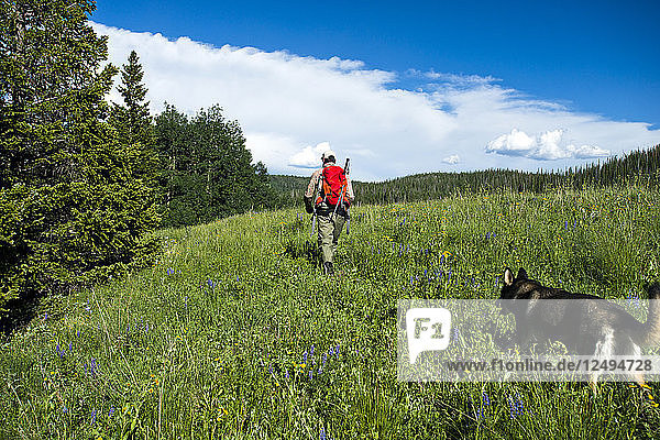 A fisherman and his dog walk through a grassy field in Yampa  Colorado.
