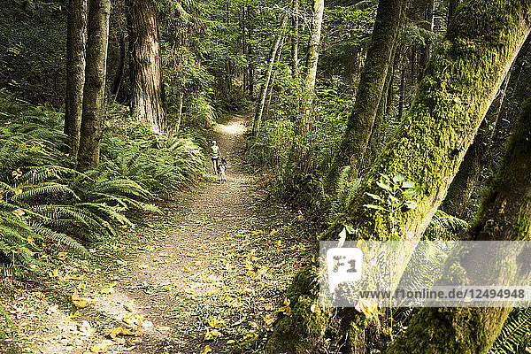 Ein Mädchen und ihr Hund wandern durch einen üppigen Wald auf San Juan Island  Washington