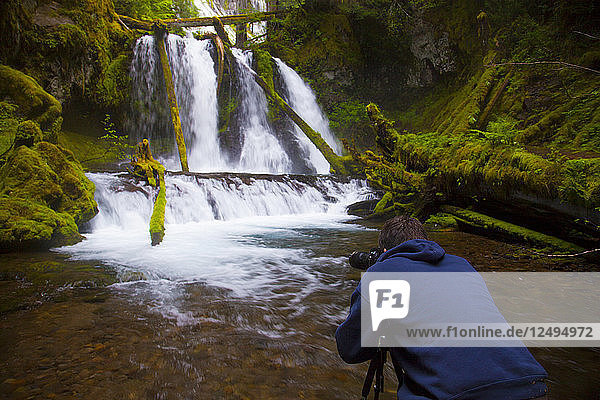 A photographer captures Lower Panther Falls along Panther Creek near Carson  Washington.