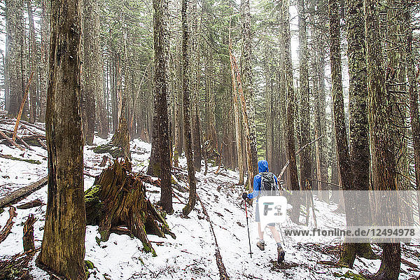 Weibliche Wanderer Wandern durch den Wald auf einem schneebedeckten Weg in der Nähe von Seattle