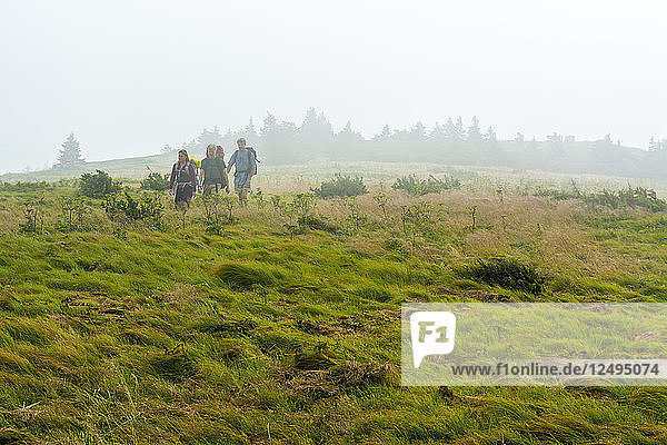 Zwei Männer und eine Frau wandern entlang des Grassy Ridge Extension Trail zum Appalachian Trail im Nebel