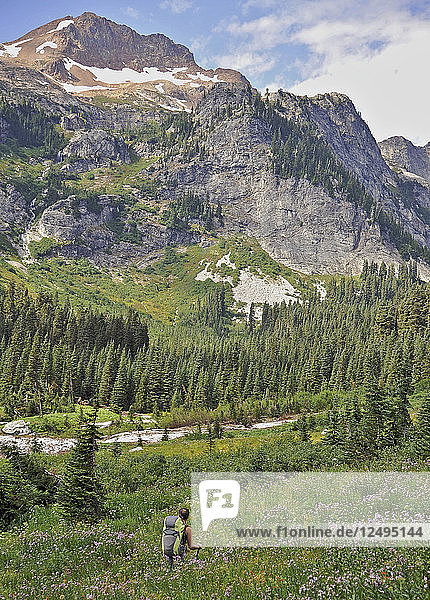 Woman hikes through Spider Meadow at the base of 7.646-foot Red Mountain on the Phelps Creek Trail  14.2-mile out-and-back  in the Glacier Peak Wilderness outside of Leavenworth  Washington September 2011. Phelps Creek leads to the base of Spider Glacier where you setup camp and hike to 7 100-foot Spider Gap. Camp has a bald eagle view of Spider Meadow below and craggy Seven Fingered Jack in the distance.