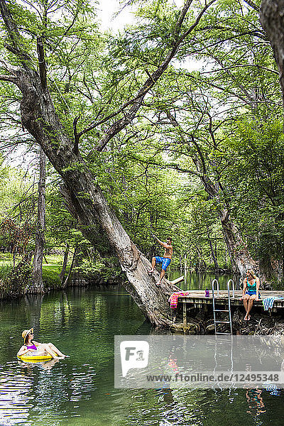 The Blue Hole in Wimberley Texas is a popular destination for tourists and locals on hot summer days. The clear cool water flows through cypress trees and offers a refuge from the Texas heat.
