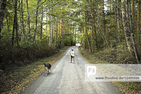 A Girl With Her Dog Walking On The Road Covered By Forest On San Juan Island  Washington