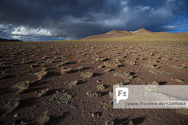 The dry  hot Atacama Desert near the Salar de Uyuni  the largest salt flat in the world in Bolivia.