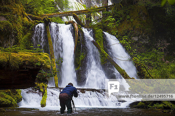 A photographer takes a picture of Lower Panther Falls along Panther Creek near Carson  Washington.