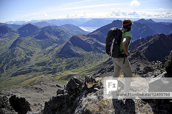 Eine Wanderin erklimmt den Nordostgrat des Mount Williwaw (5445 Fuß)  des höchsten Gipfels in der vorderen Kette der Chugach Mountains in Anchorage  Alaska  im August 2011. Mount Williwaw ist eine Route der Klasse 3 am Ende des Middle Fork Campbell Creek-Tals.