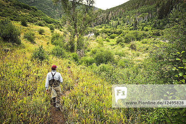 A Fly Fisherman Walks Through Tall Grass On His Way To The Yampa River  Colorado.