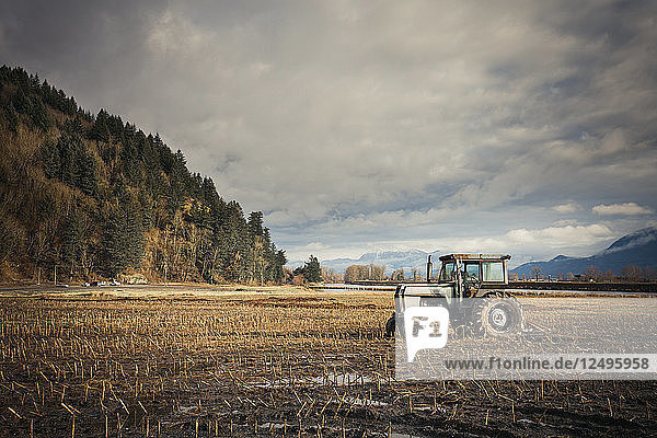 An old tractor parked in the middle of a farm field in Chilliwack  BC  Canada.
