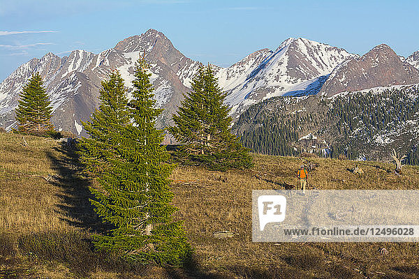 A Man Hiking With His Dog Above Molas Pass In San Juan National Forest  Durango  Colorado