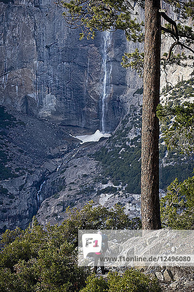 Eine Rucksacktouristin geht einen Pfad hinunter mit den Upper Yosemite Falls im Hintergrund im Yosemite National Park.
