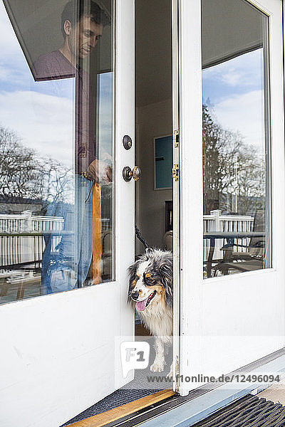 A dog peaks it's head out of the door of a home in Hood River  Oregon.
