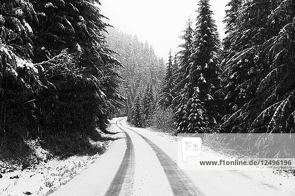Snowy Mountain Road in Washington  USA