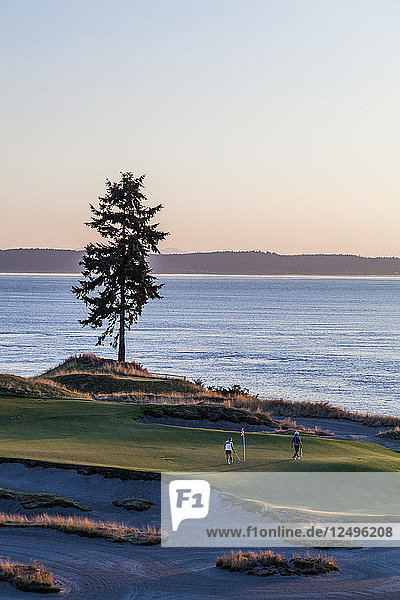 Chambers Bay Golfplatz  Austragungsort der US Open 2015  in der Nähe von Tacoma  WA an einem sonnigen Abend.