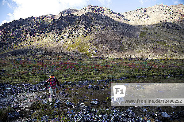 Wanderin überquert den North Fork Campbell Creek unterhalb des Long Lake in den Chugach Mountains nördlich von Anchorage  Alaska August 2011.