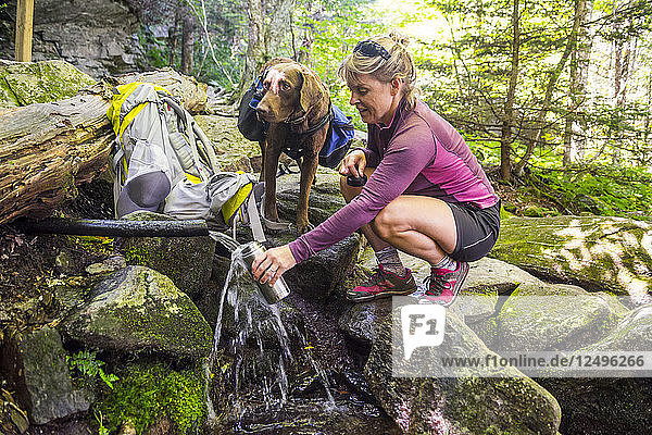 A Woman With Her Dog Filling Her Water Bottle In Shanty Spring