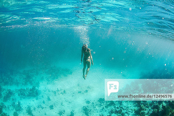 View Of Girl Swimming Underwater In The Coast Of Trinidad  Cuba
