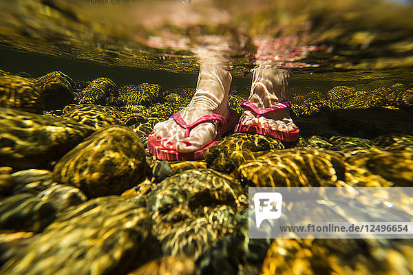 Unterwasser-Ansicht der Frau Bein trägt rosa Flip Flop auf Steinen