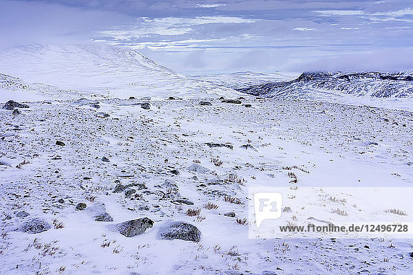 Eine verschneite arktische Winterlandschaft im Dovrefjell-Sunndalsfjella-Nationalpark  Norwegen