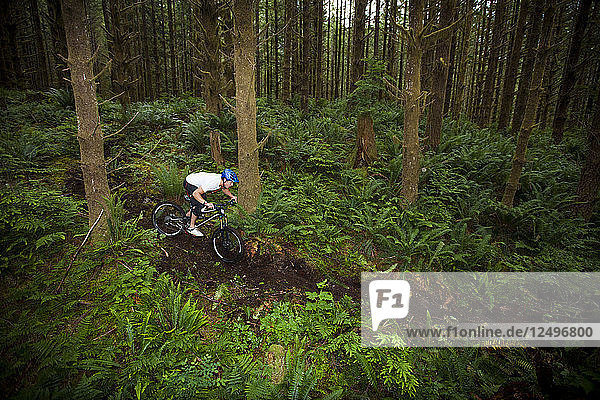 A mountain biker rides a trail through a lush forest in North Vancouver  British Columbia  Canada.