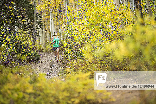 Woman Trail Running on a Sunny Fall Day up Big Cottonwood Canyon in the Wasatch Mountains  Utah