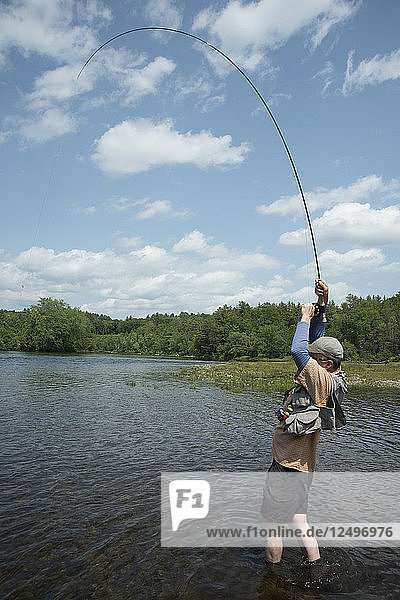Fischer fangen große Bachforellen am Kennebec River