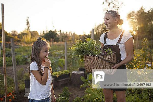 Eine Mutter und eine Tochter teilen einen lustigen Moment bei der Ernte von Gemüse im Garten