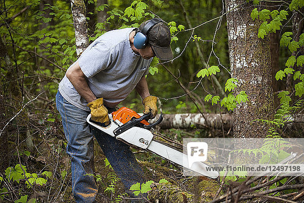 A middle aged man uses a chainsaw to clean up his yard.