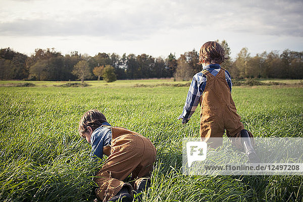 Two young boys enjoy playing outside in a large grass covered field at a local park.