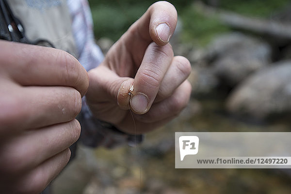 Person Hand Tying A Small Nymph While Fishing For Small Native Brook Trout