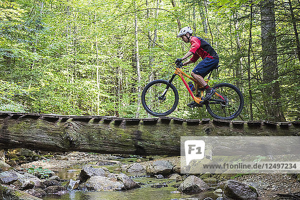 Mountain Biker Crossing A Log Bridge In A Green Forest.
